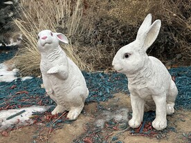 公园里的兔子塑像