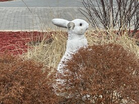 公园里的兔子塑像