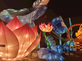 2024年西安城墙灯会