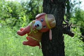 树枝上挂着的玩具狗狗