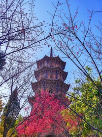 泉州开元寺东塔