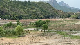 大石河磁家务段河床