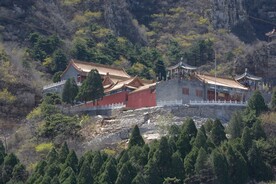 鸟语林半山院落