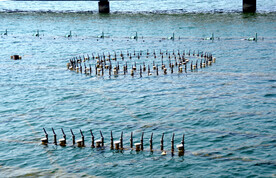 淇县淇河喷泉水嘴