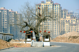 鹤壁淇县土地庙