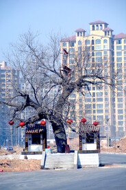 鹤壁淇县土地庙