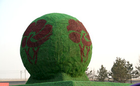 龙亭公园植物造型