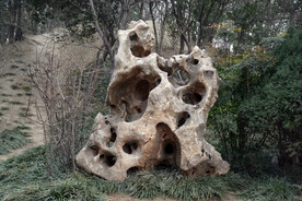 龙亭公园太湖石