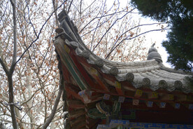 龙亭公园中式建筑