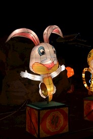 龙亭公园元宵节卯兔花灯