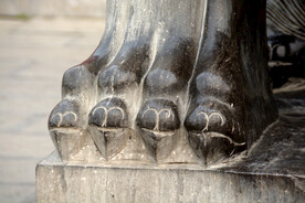 开封石狮子脚趾头
