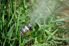 顺义鲜花港喷嘴