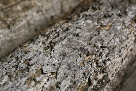 糟木头纹理素材