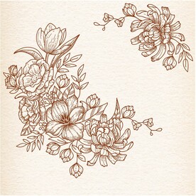 矢量唯美花卉花框