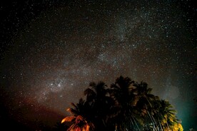 星空和椰子树