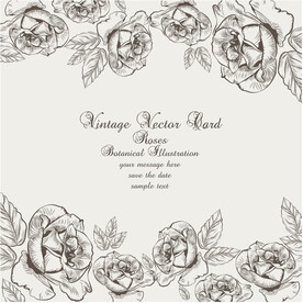 矢量线描花卉花卡模板