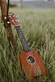 吉他 草地