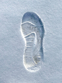 雪地脚印
