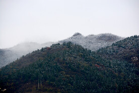 磁家务后山的雪