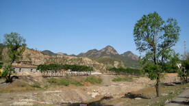 大石河磁家务段河床