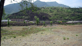 大石河磁家务段河床