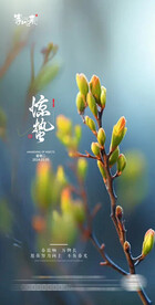 地产惊蛰海报