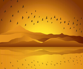 日落与鸟的剪影