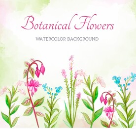 水彩植物背景