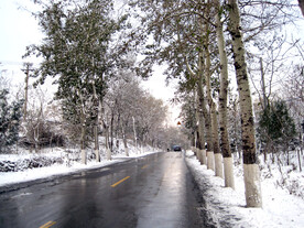 雪中道路