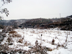 雪中田野