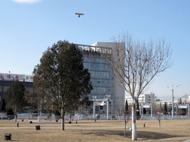 广场上空的风筝