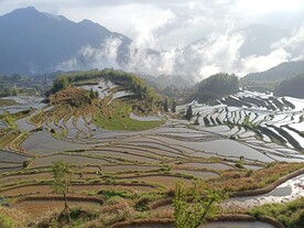 云和梯田