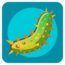 图标风格的海参