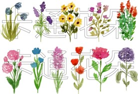 卡通花朵 花朵插画