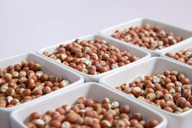 鸡头米金湖特产