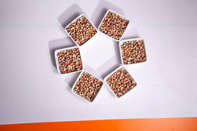 金湖特产鸡头米