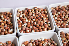 金湖特产鸡头米