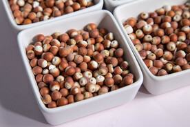 金湖芡实鸡头米