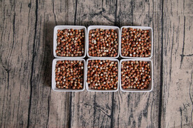 金湖芡实 鸡头米