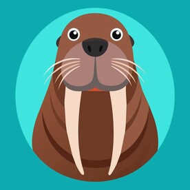 图标风格的海象