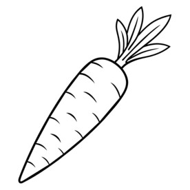  胡萝卜  线稿