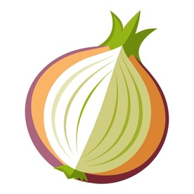 洋葱剖面素材