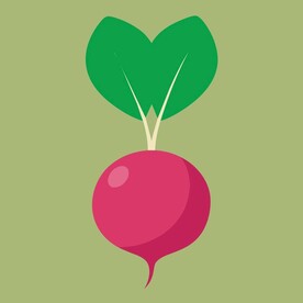 平面风格 萝卜