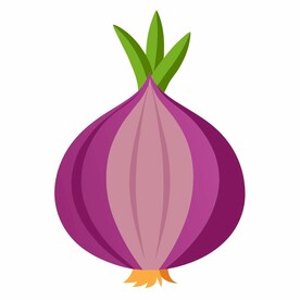 平面风格 洋葱