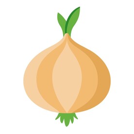 拟真插画风格的洋葱