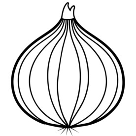  洋葱  线稿
