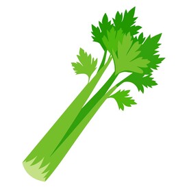 简单风格的芹菜