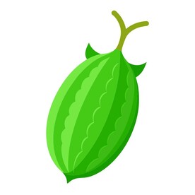 简易的卡通风格的苦瓜