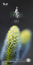 医美地产春分海报