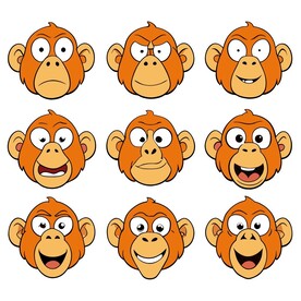 长鼻猴不同情绪状态的组合